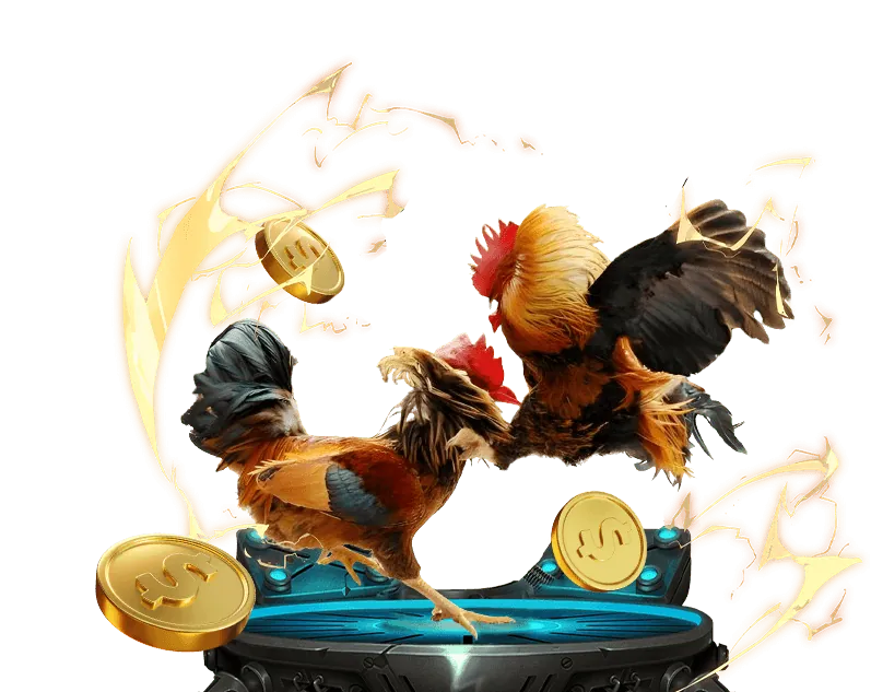 Các chương trình khuyến mãi thể thao hấp dẫn